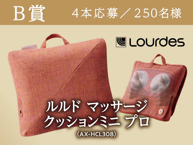 ルルド マッサージクッションミニプロ （AX-HCL308）